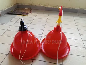 Bell Drinker