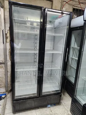 Affordable Display Chiller 1000litres