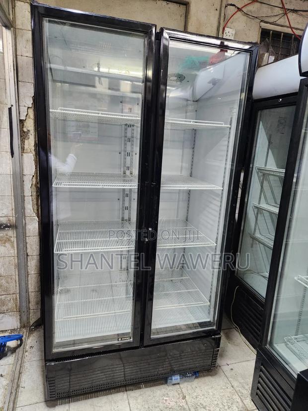 Affordable Display Chiller 1000litres