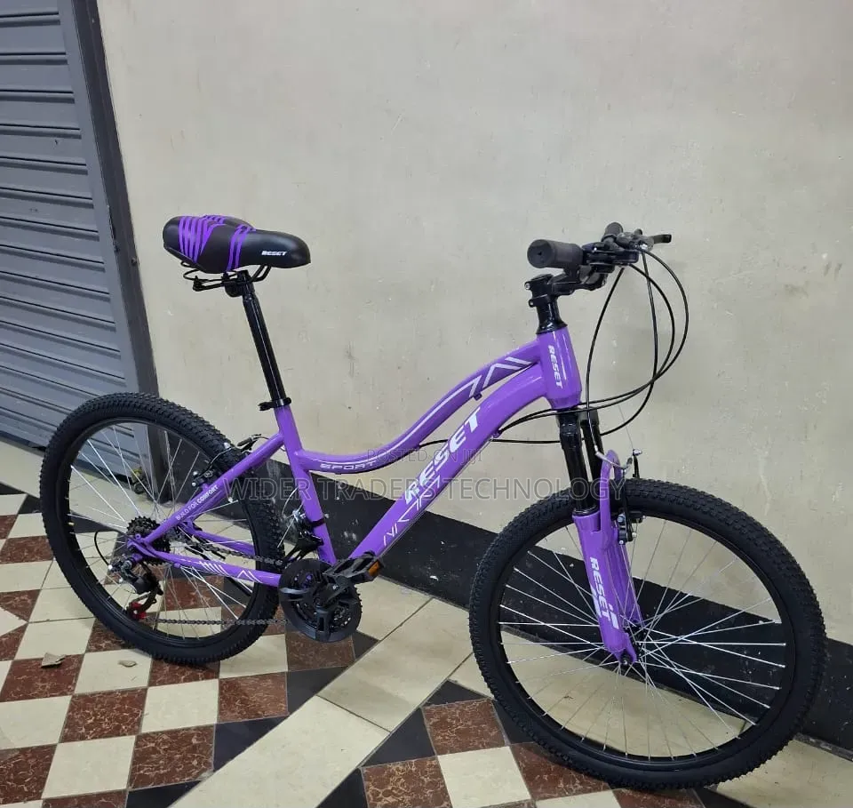 Reset 24-Inch MTB Mountain Bike