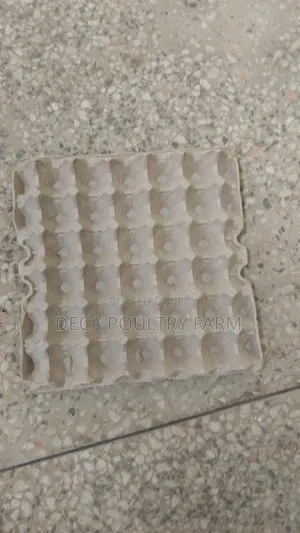 Paper Tray