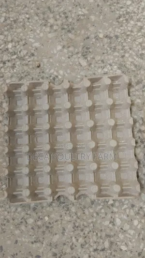 Paper Tray