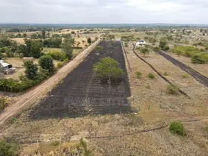 Prime 1/8th Acre Plots for Sale in Makutano Pi
