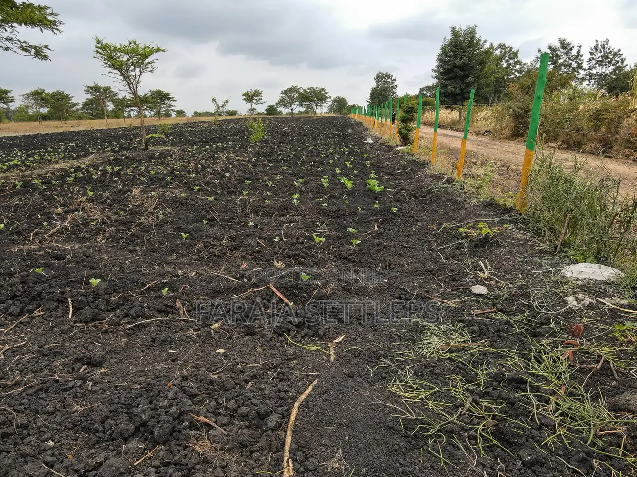 Prime 1/8th Acre Plots for Sale in Makutano Pi