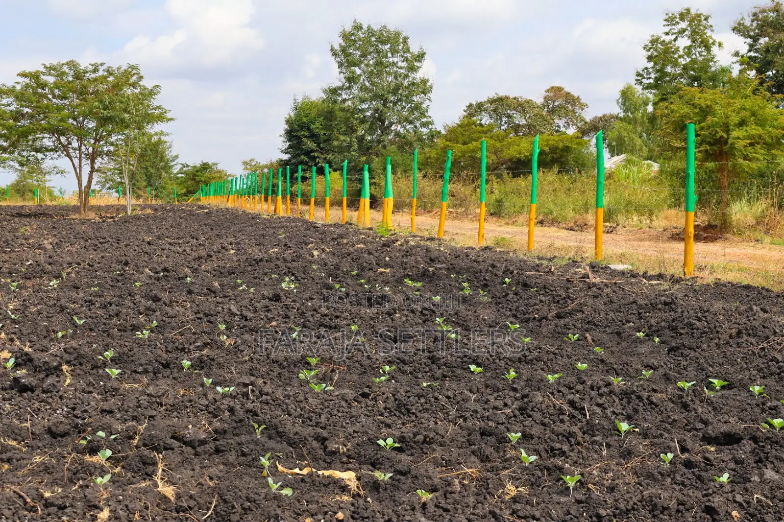 Prime 1/8th Acre Plots for Sale in Makutano Pi