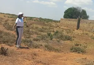 Plot for Sale in Posta Town