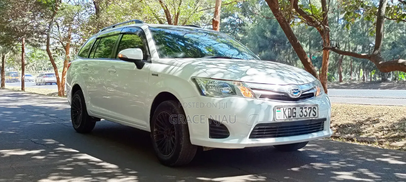 Toyota Corolla Fielder 2013 White