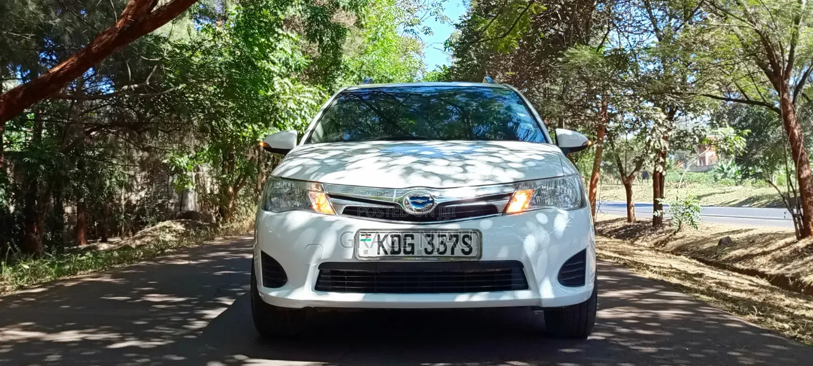 Toyota Corolla Fielder 2013 White