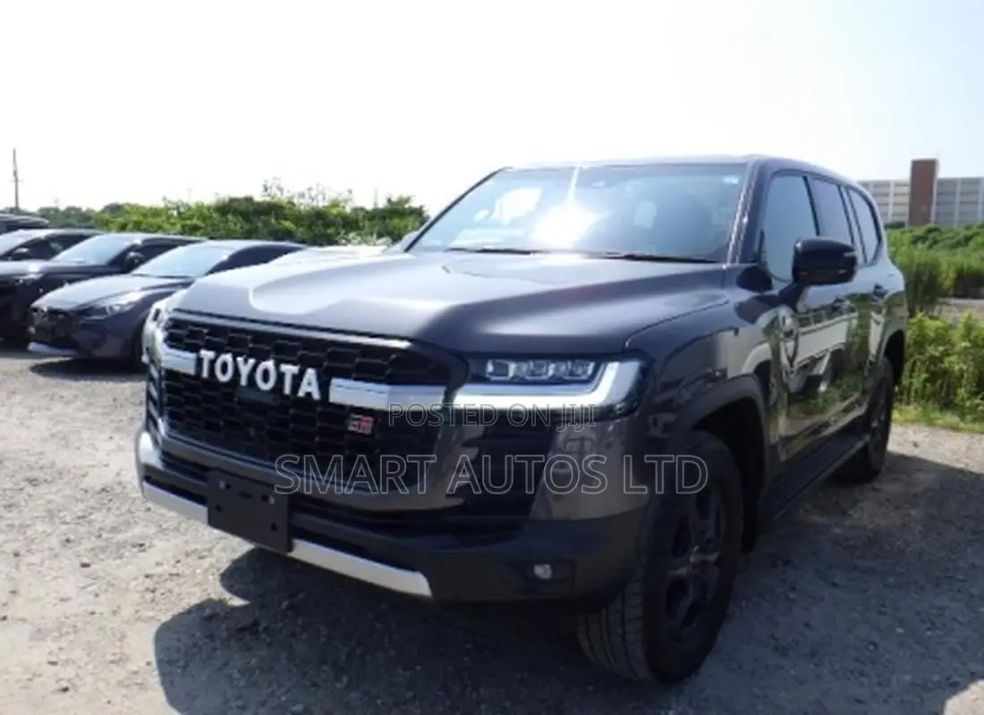 Toyota Land Cruiser LC300 2023 Gray