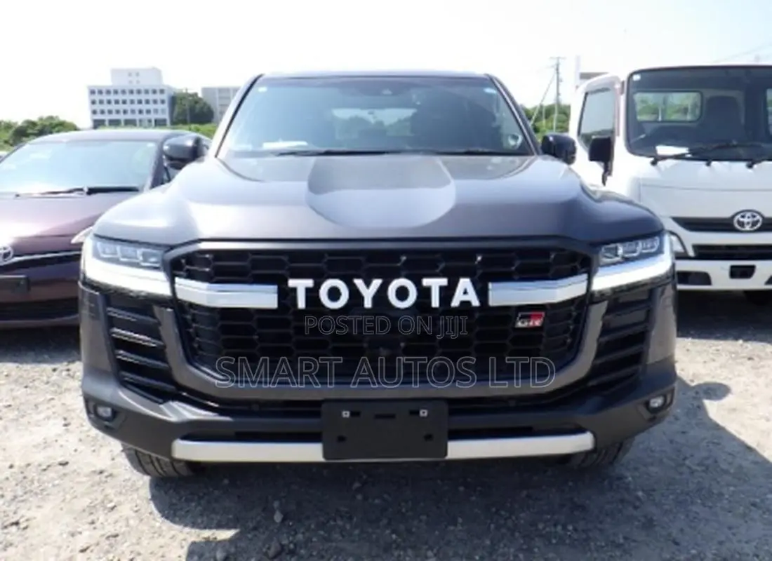 Toyota Land Cruiser LC300 2023 Gray