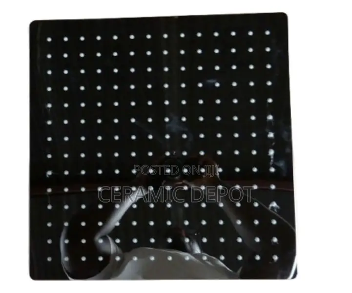 Shower Head 40