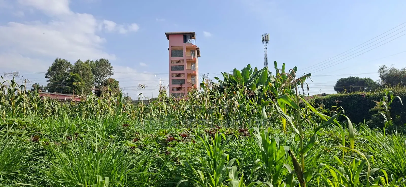 🏡 Prime 100×100 Plot for Sale – Lower Kabete