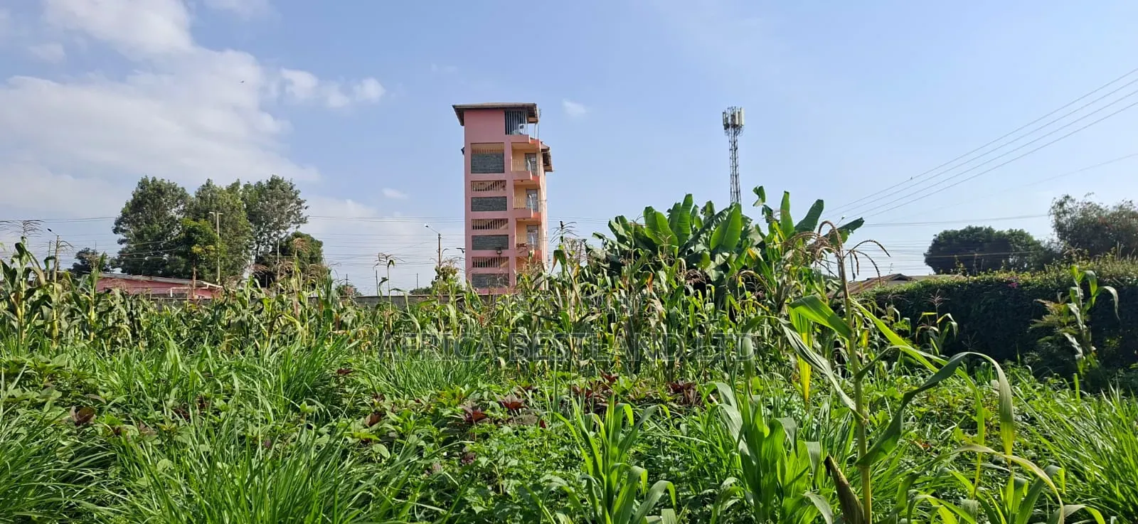 🏡 Prime 100×100 Plot for Sale – Lower Kabete