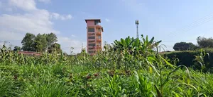 🏡 Prime 100×100 Plot for Sale – Lower Kabete