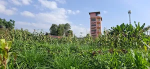 🏡 Prime 100×100 Plot for Sale – Lower Kabete