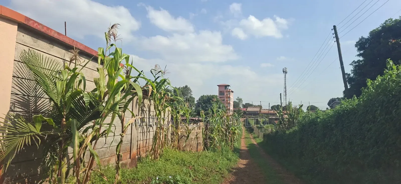 🏡 Prime 100×100 Plot for Sale – Lower Kabete