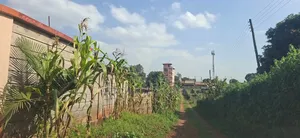 🏡 Prime 100×100 Plot for Sale – Lower Kabete
