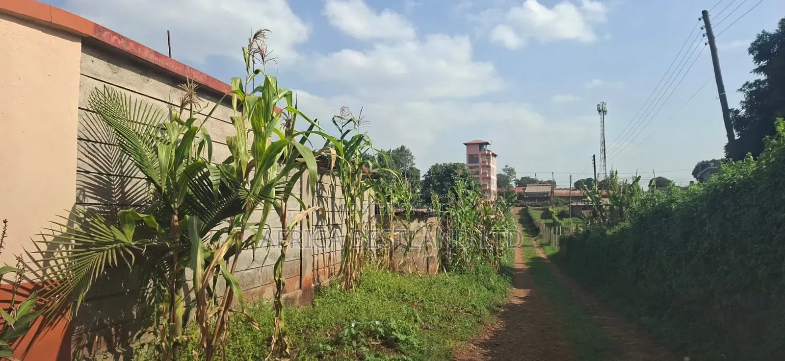🏡 Prime 100×100 Plot for Sale – Lower Kabete