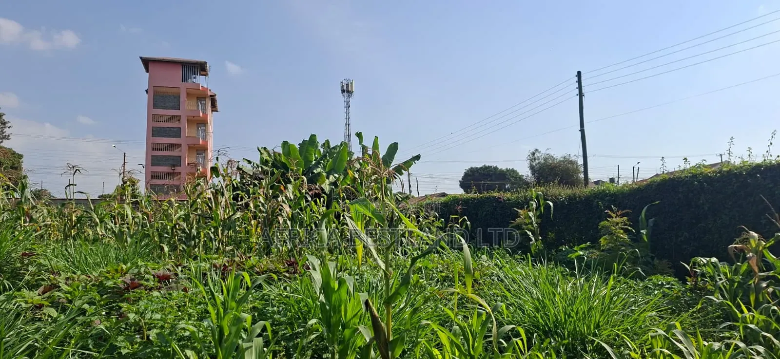 🏡 Prime 100×100 Plot for Sale – Lower Kabete