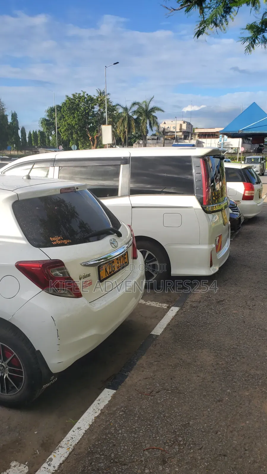 Selfdrive/Chauffer Driven Car Hire