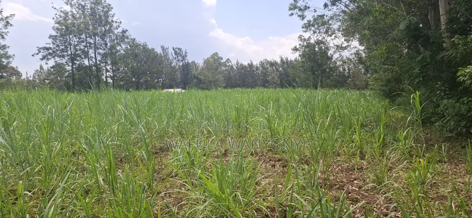 1 Acre BUNAMBOBI Bumula