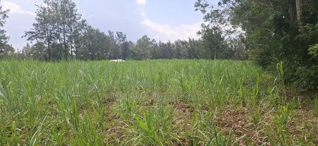 1 Acre BUNAMBOBI Bumula