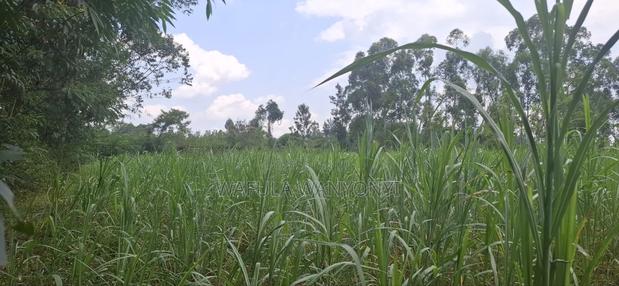1 Acre BUNAMBOBI Bumula - thumbnail 2