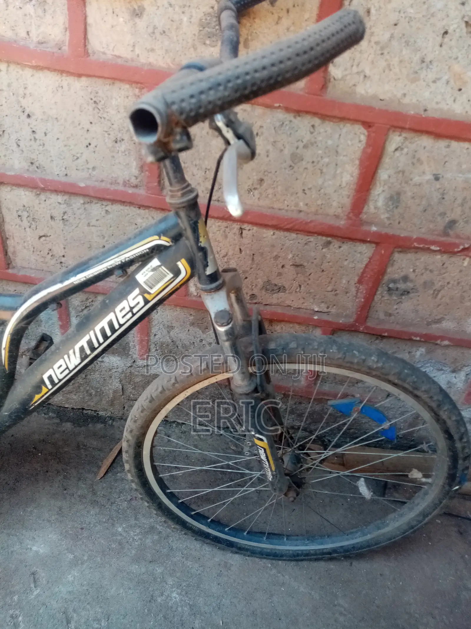 Mountain Bike