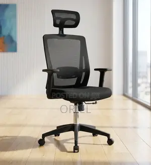 Office Chair : High Back Orthopedic Adjustable Chair