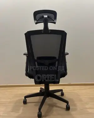 Office Chair : High Back Orthopedic Adjustable Chair