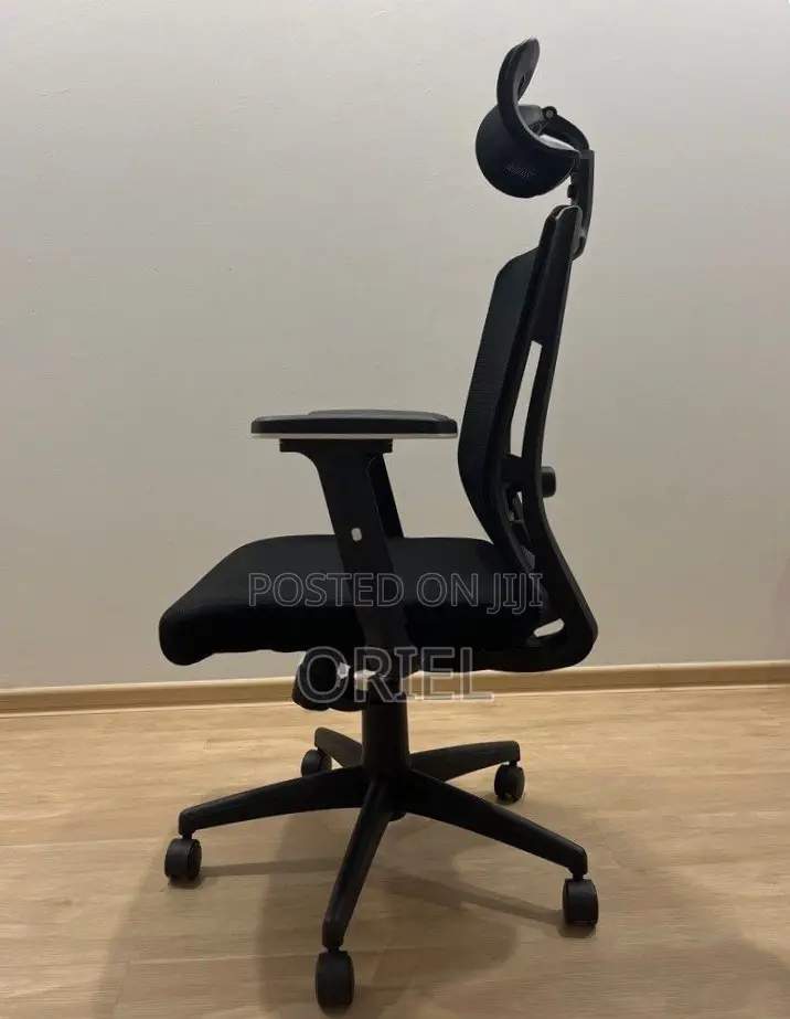 Office Chair : High Back Orthopedic Adjustable Chair