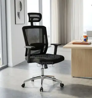 Office Chair : High Back Orthopedic Adjustable Chair