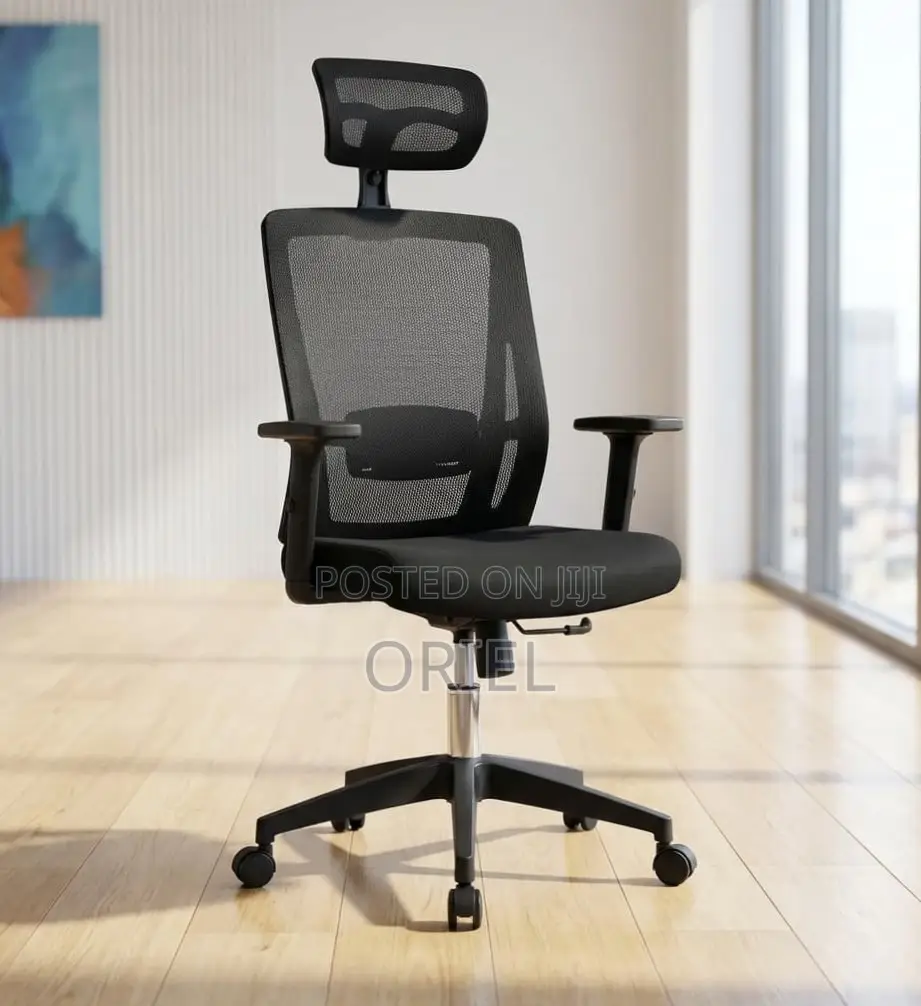 Office Chair : High Back Orthopedic Adjustable Chair