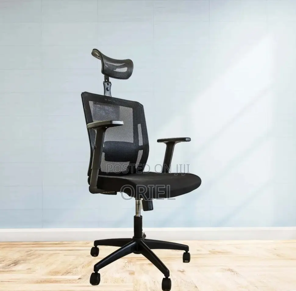 Office Chair : High Back Orthopedic Adjustable Chair