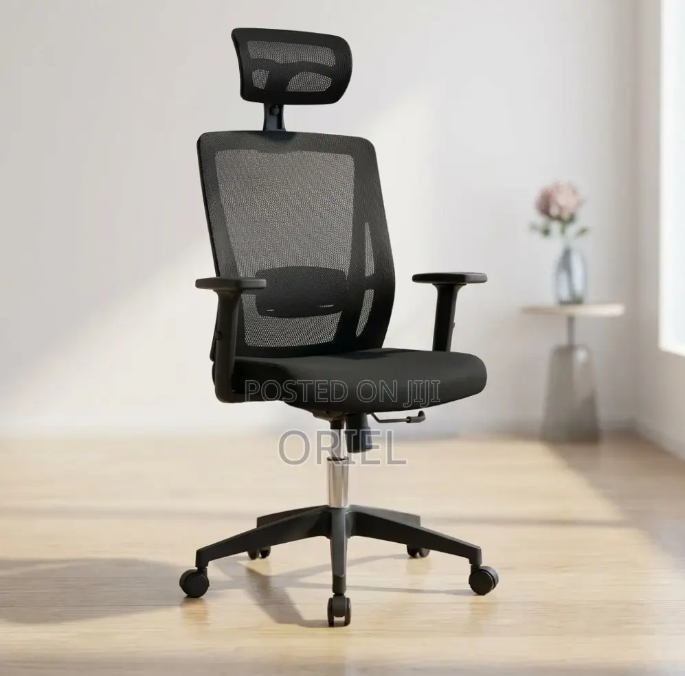Office Chair : High Back Orthopedic Adjustable Chair