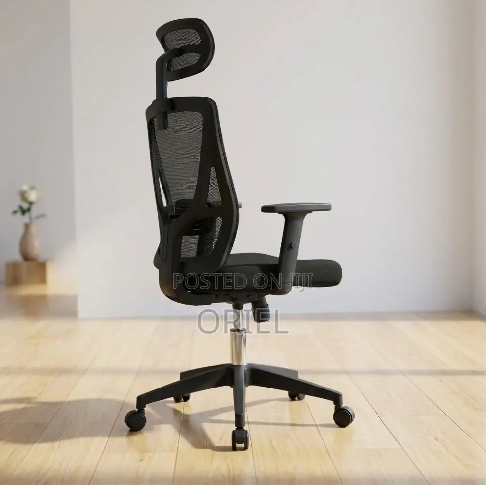 Office Chair : High Back Orthopedic Adjustable Chair