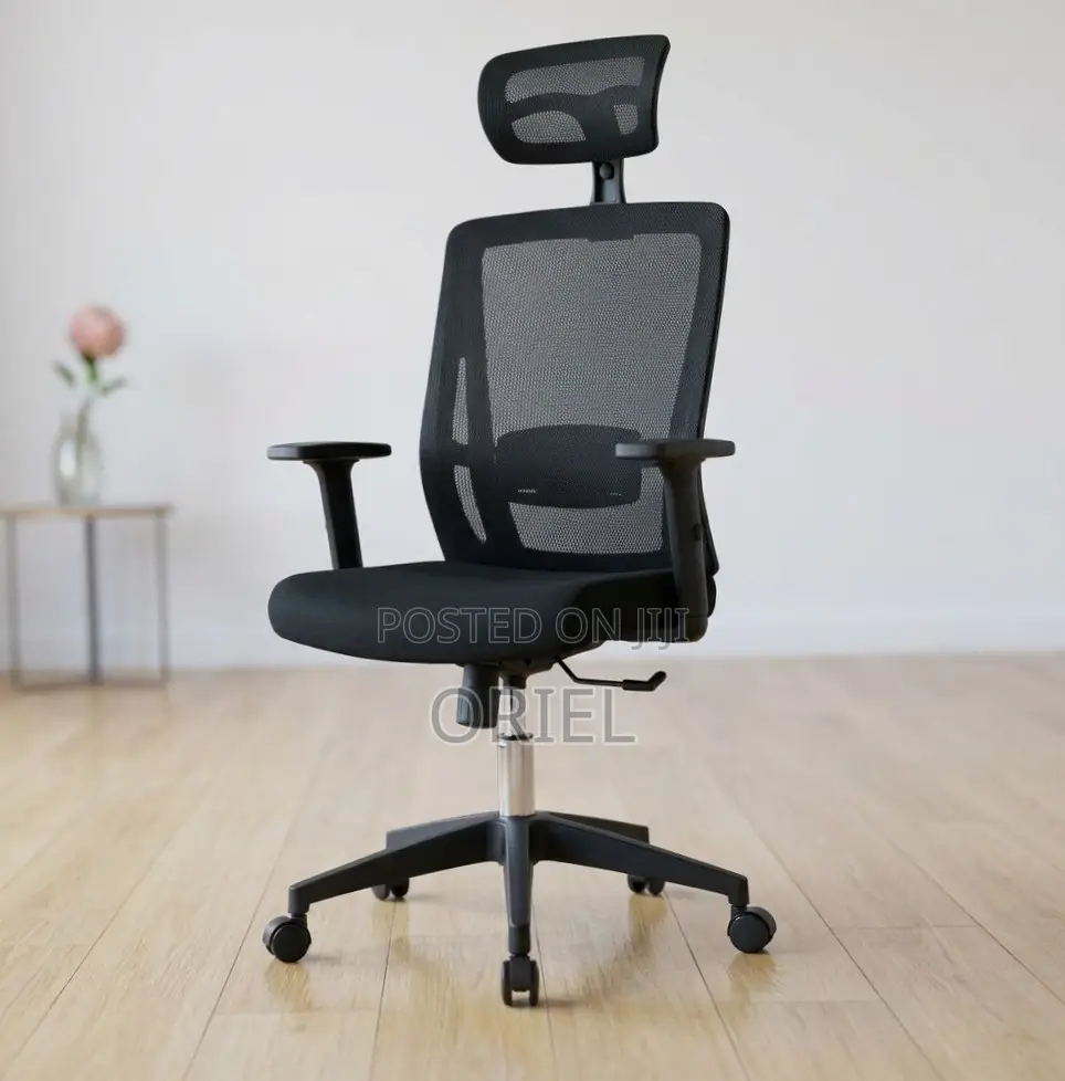 Office Chair : High Back Orthopedic Adjustable Chair