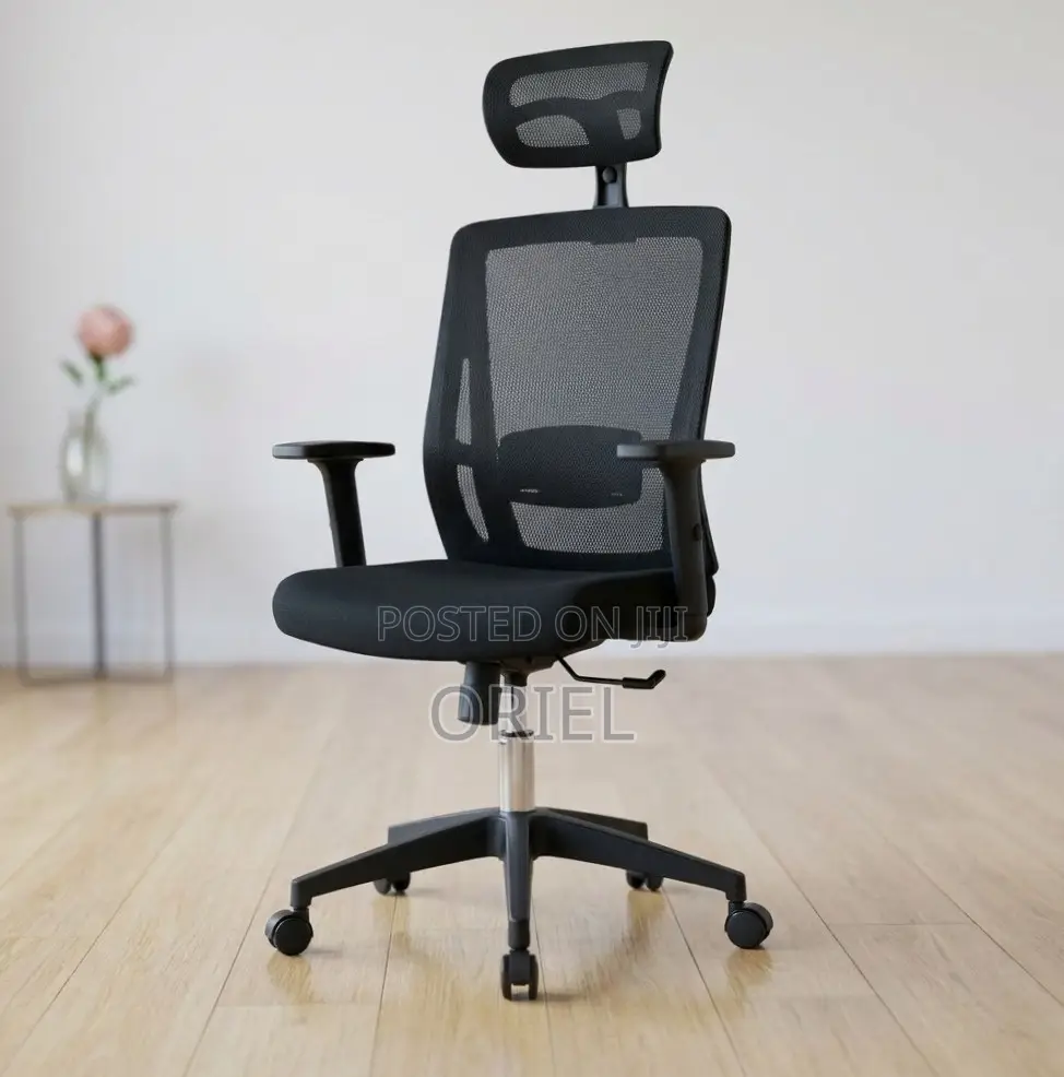 Office Chair : High Back Orthopedic Adjustable Chair