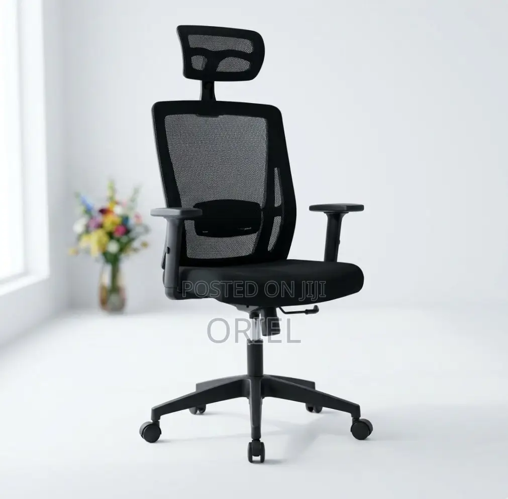 Office Chair : High Back Orthopedic Adjustable Chair