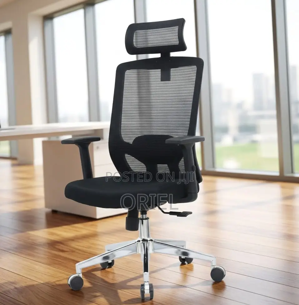 Office Chair : High Back Orthopedic Adjustable Chair
