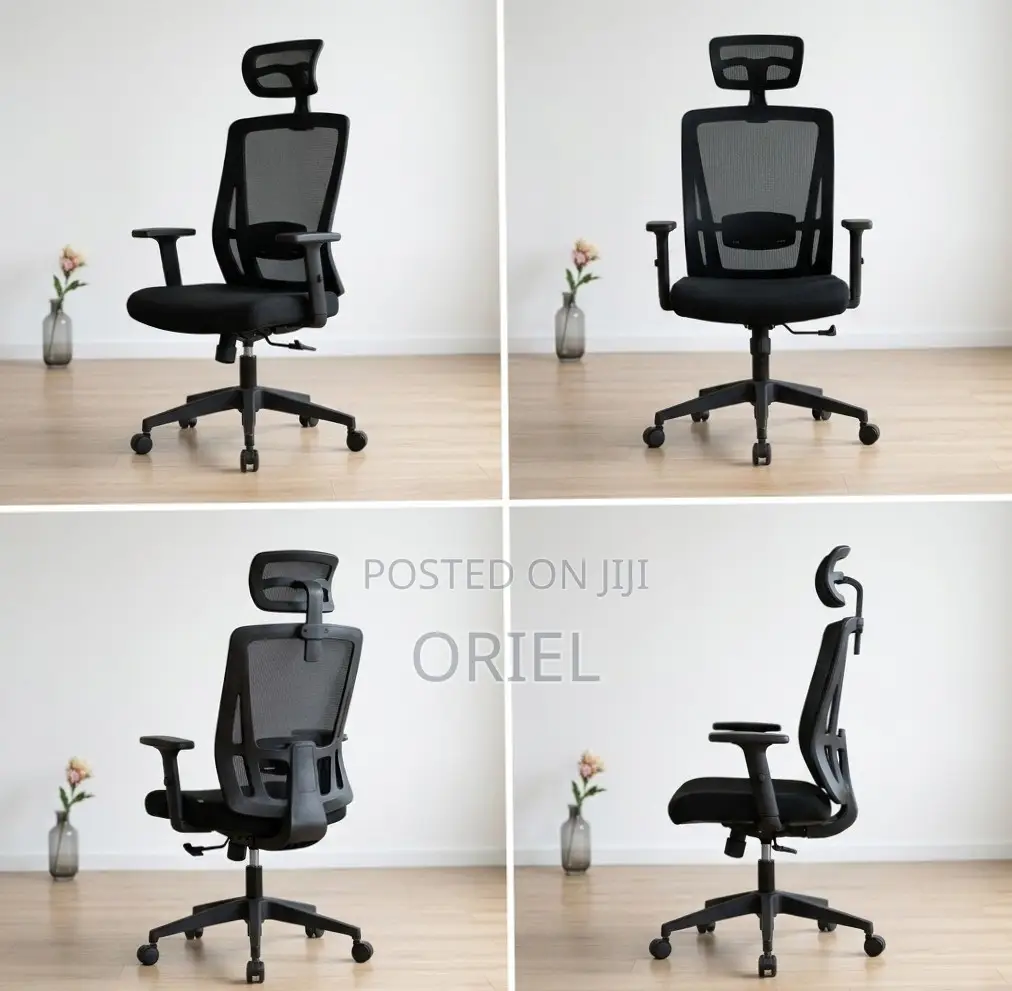 Office Chair : High Back Orthopedic Adjustable Chair