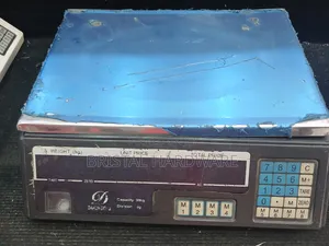 Acs Electric Weighing Scale 30kg