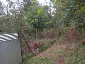 3⁄4 Acre Property With 2-Bedroom House – Githima, Murang'A