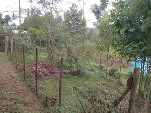3⁄4 Acre Property With 2-Bedroom House – Githima, Murang'A