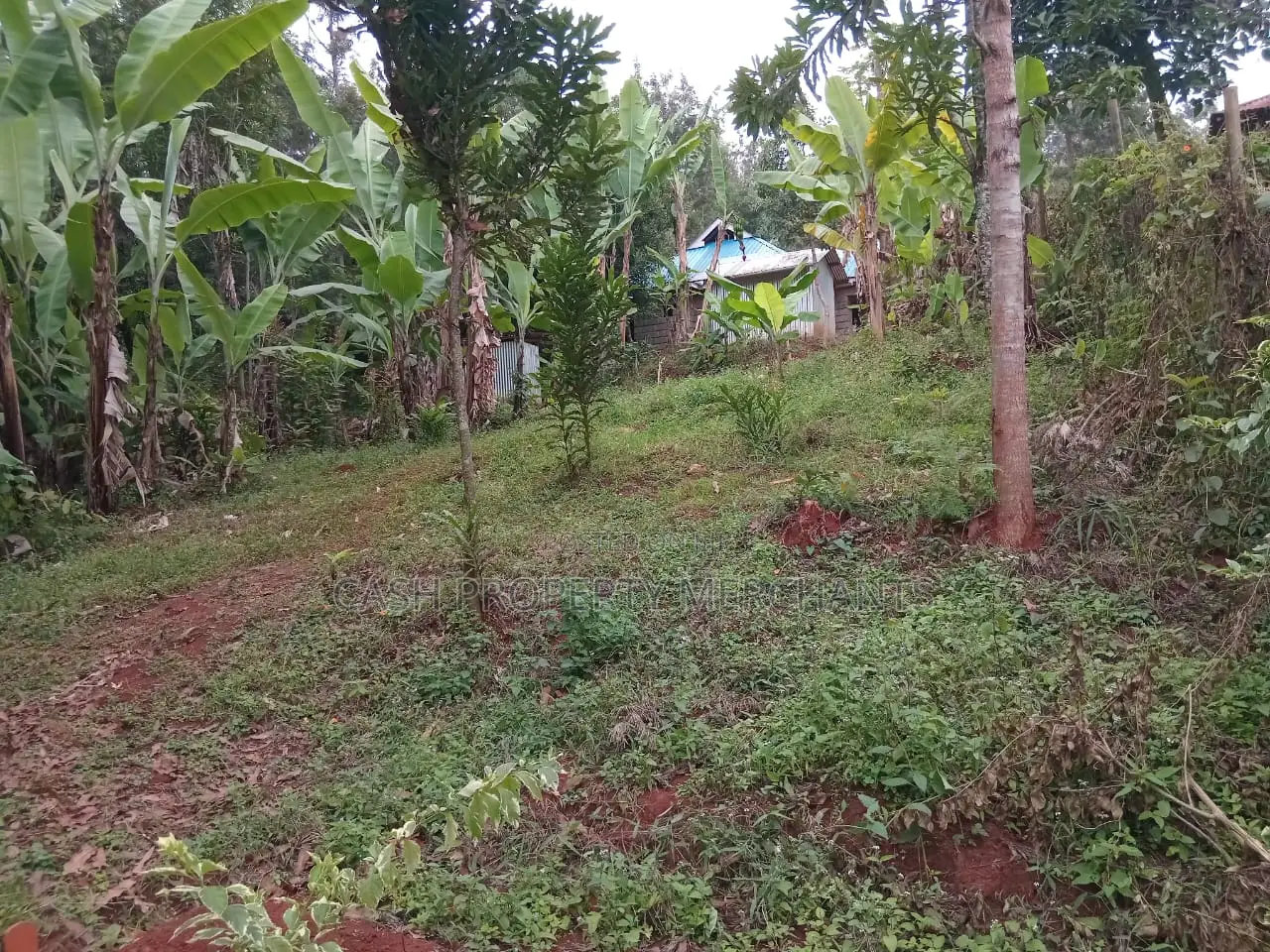 3⁄4 Acre Property With 2-Bedroom House – Githima, Murang'A