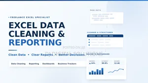 Excel Data Cleaning, Reporting & Dashboard Services