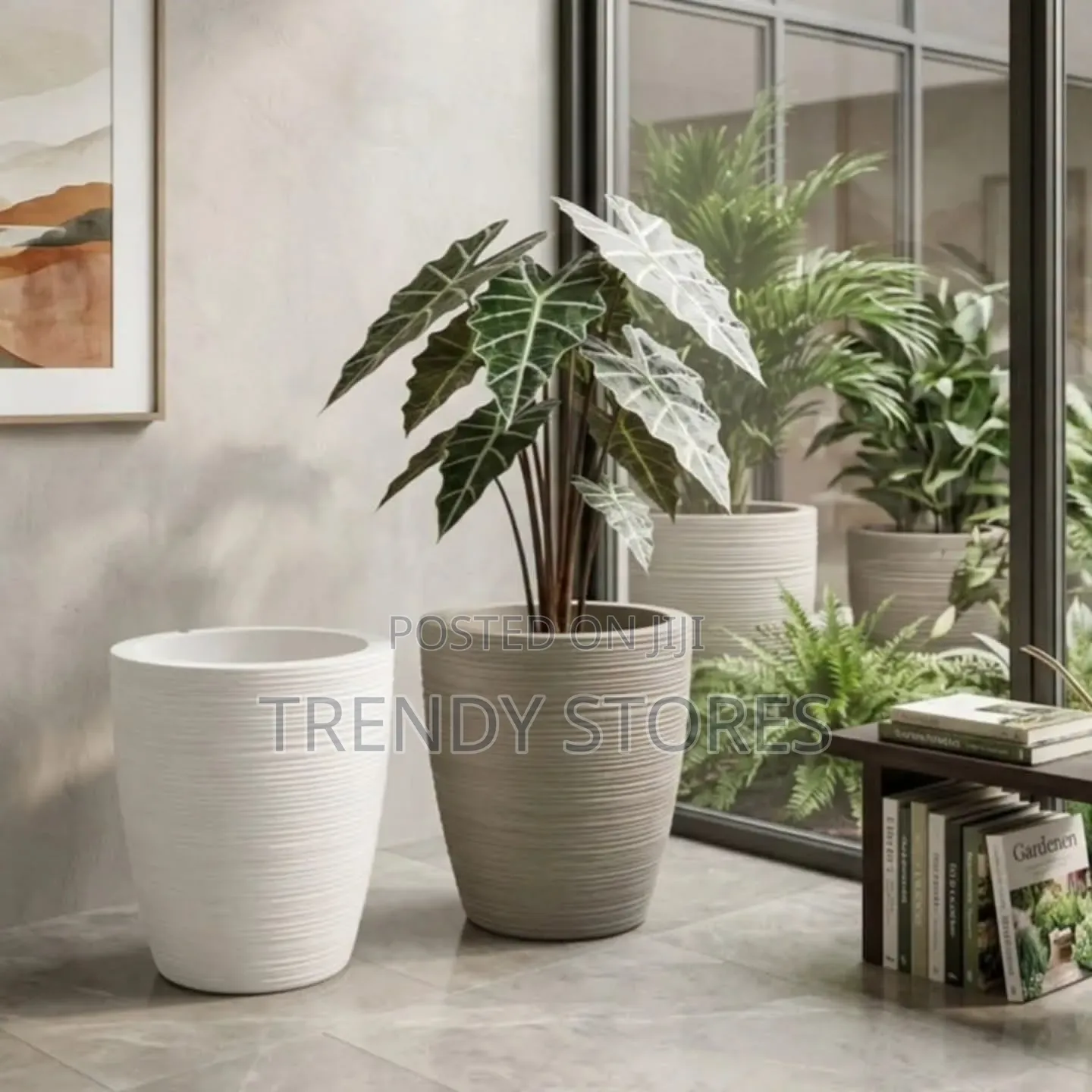 Ceramic Planter Pots