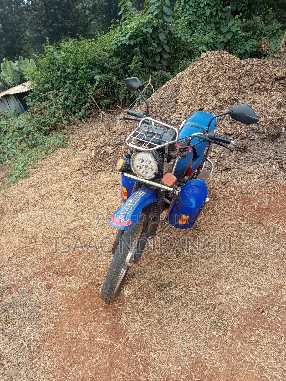 Focin 125cc 2019 Blue