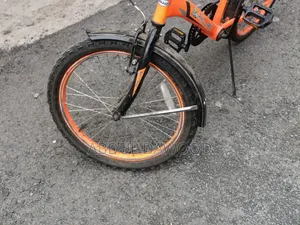 Phillips Bicycle
