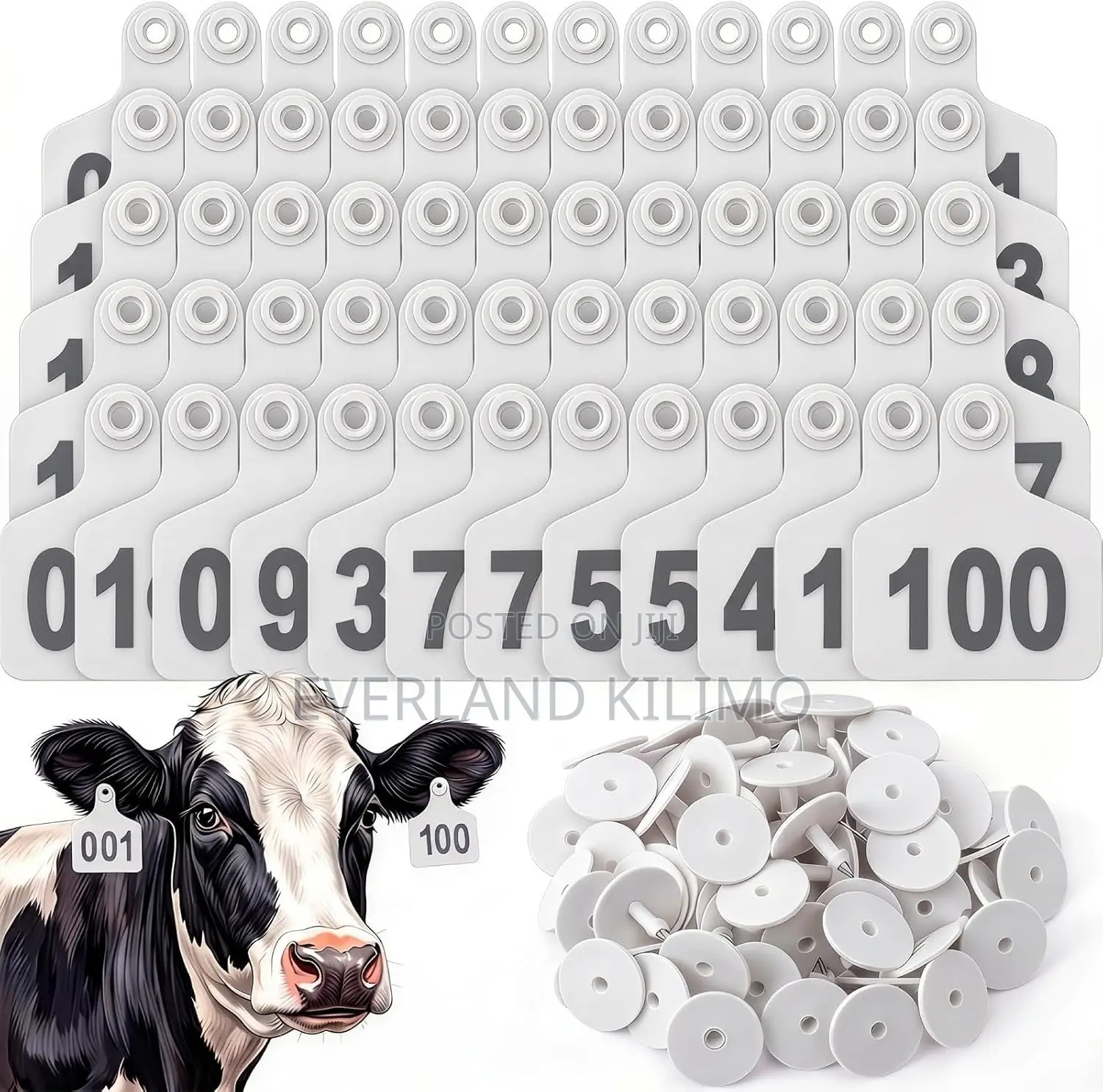 Cattle Production Year Medium Ear Tag